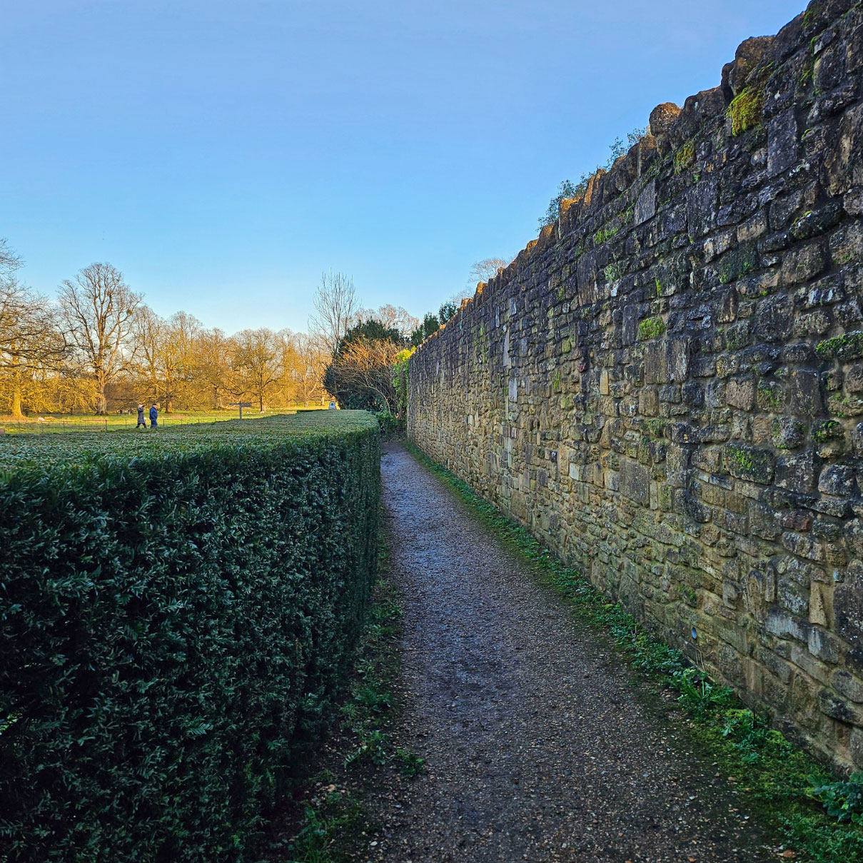 Montacute House: trimmed hedges and elegant pathways.